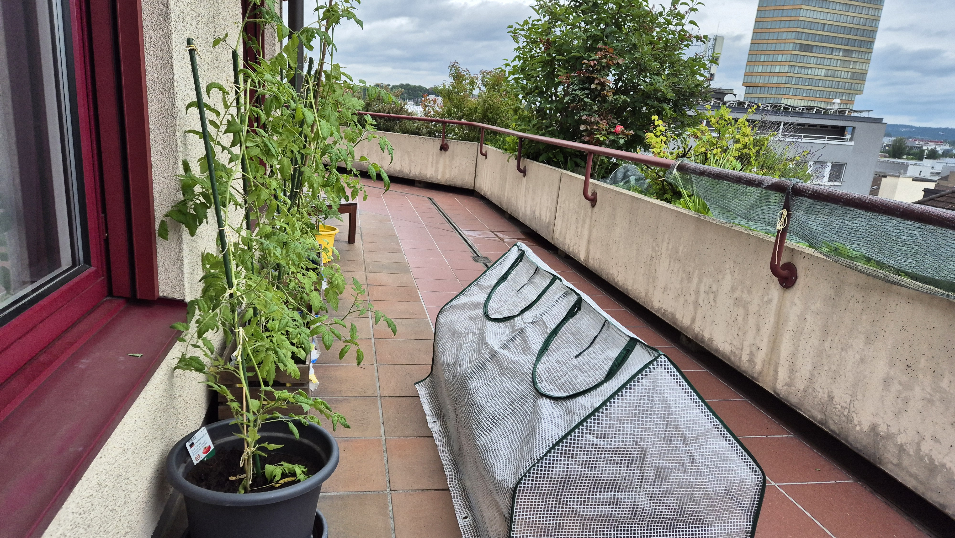Gardening Photo 2